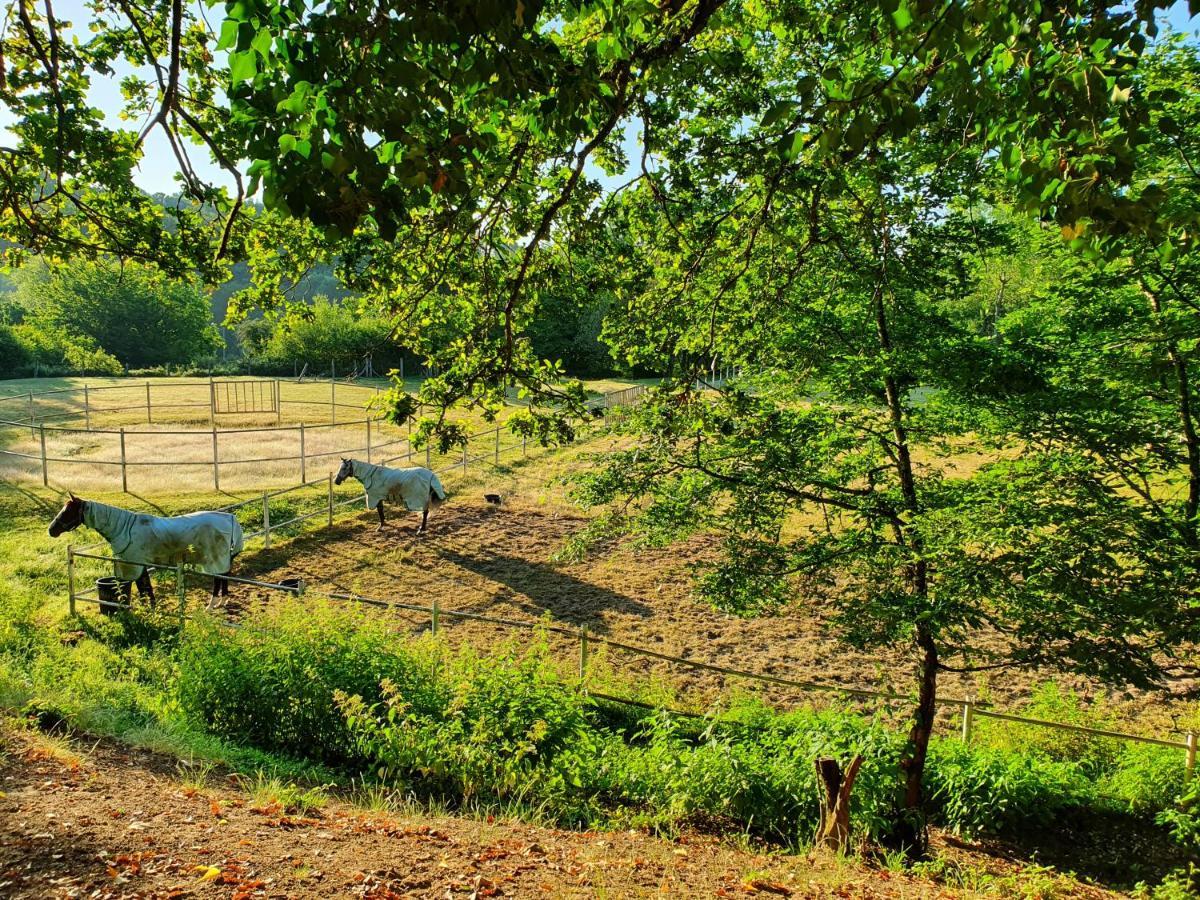 Ferme Equestre & Chambres D'Hotes Gateau Stables Proche Guedelon Saint-Amand-en-Puisaye Exterior photo