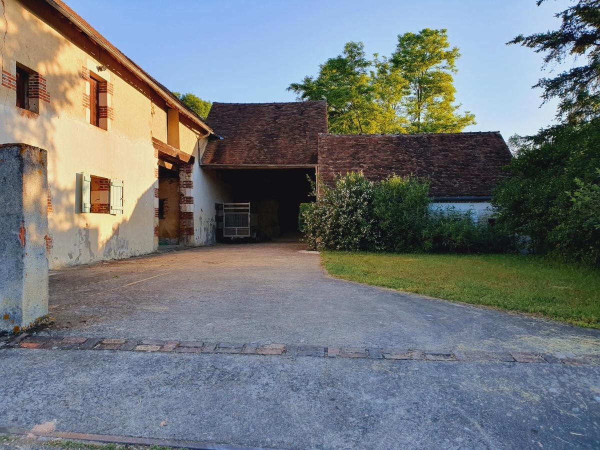 Ferme Equestre & Chambres D'Hotes Gateau Stables Proche Guedelon Saint-Amand-en-Puisaye Exterior photo